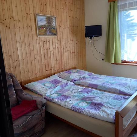 Apartman Na Polesi Дестне в Орлицки хора Екстериор снимка